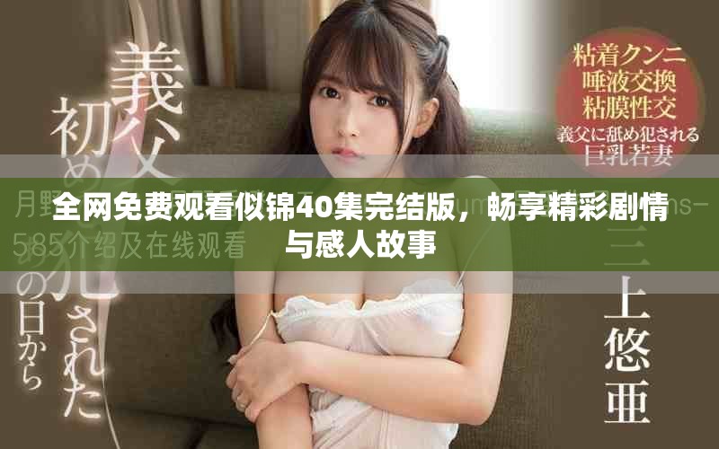 全网免费观看似锦40集完结版，畅享精彩剧情与感人故事