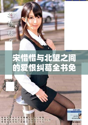 宋惜惜与北望之间的爱恨纠葛全书免费在线阅读体验