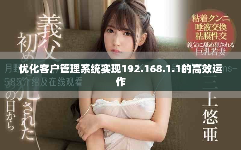 优化客户管理系统实现192.168.1.1的高效运作