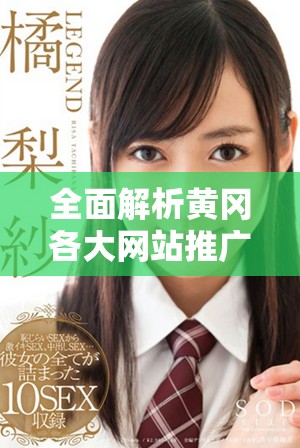 全面解析黄冈各大网站推广平台入口网址合集
