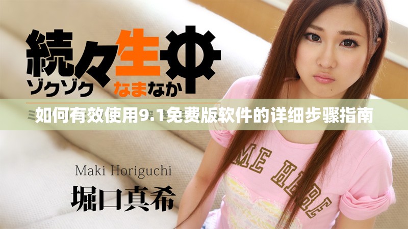 如何有效使用9.1免费版软件的详细步骤指南