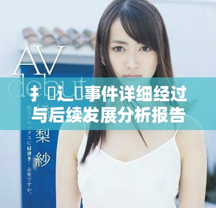 扌喿辶畐事件详细经过与后续发展分析报告