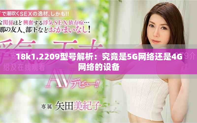 18k1.2209型号解析：究竟是5G网络还是4G网络的设备