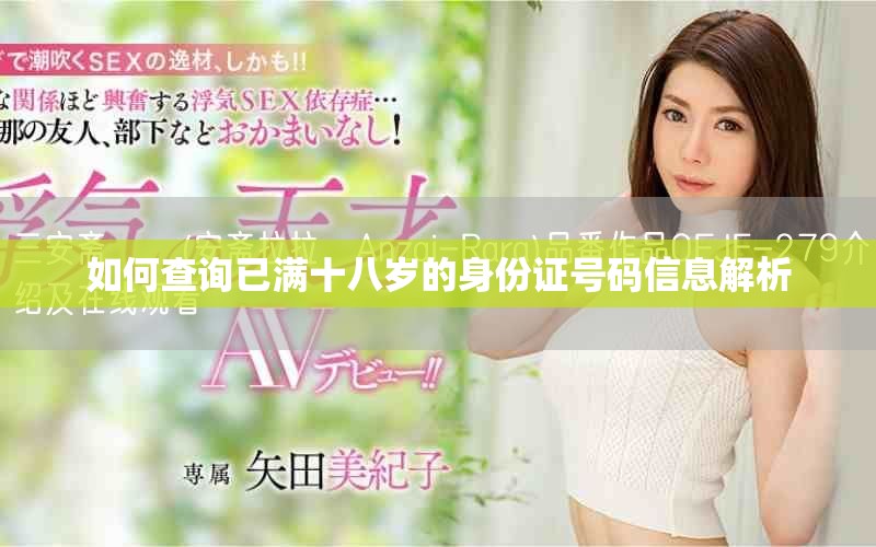 如何查询已满十八岁的身份证号码信息解析
