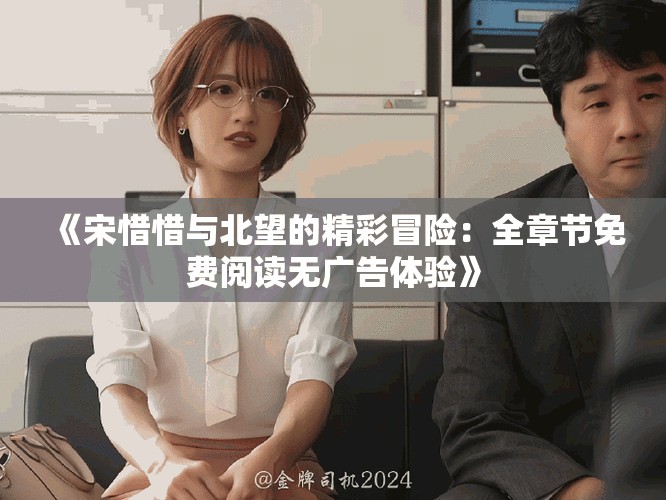 《宋惜惜与北望的精彩冒险：全章节免费阅读无广告体验》
