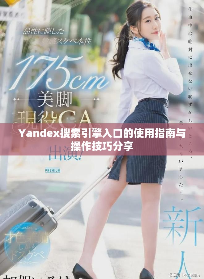 Yandex搜索引擎入口的使用指南与操作技巧分享