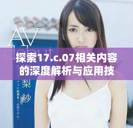 探索17.c.07相关内容的深度解析与应用技巧