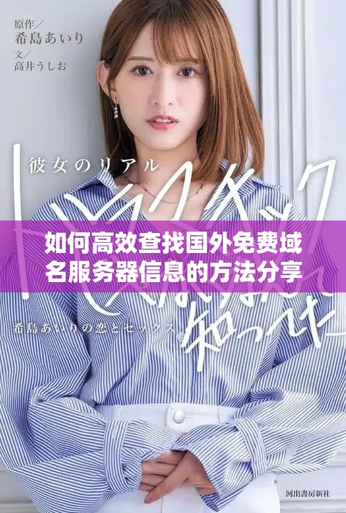 如何高效查找国外免费域名服务器信息的方法分享