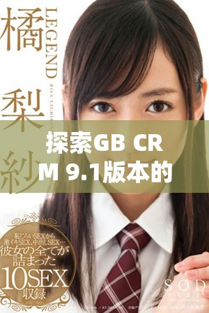 探索GB CRM 9.1版本的全新功能与优化体验分析