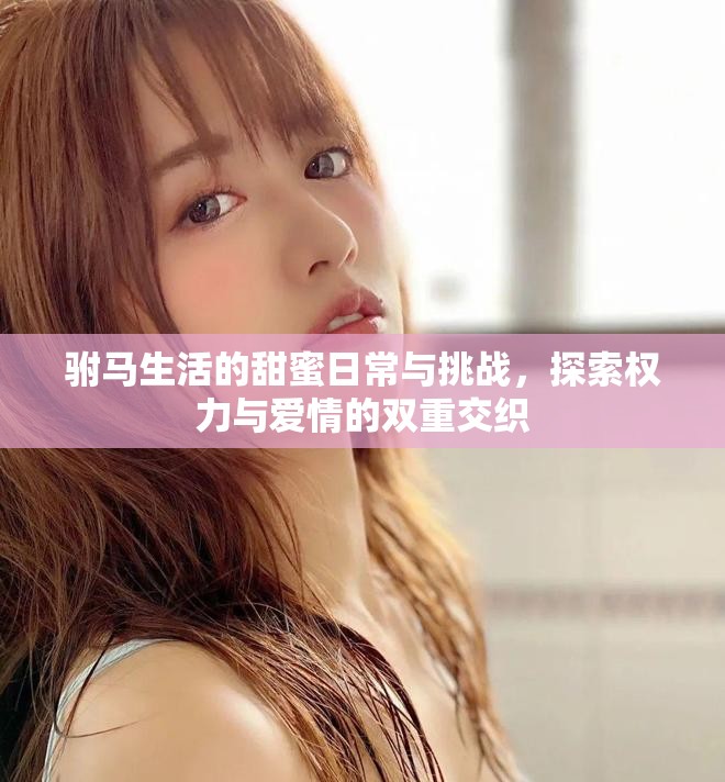 驸马生活的甜蜜日常与挑战，探索权力与爱情的双重交织