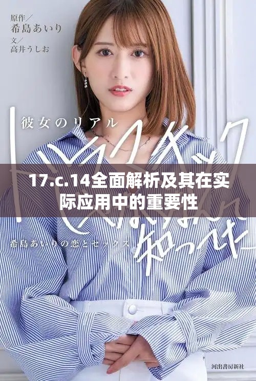 17.c.14全面解析及其在实际应用中的重要性