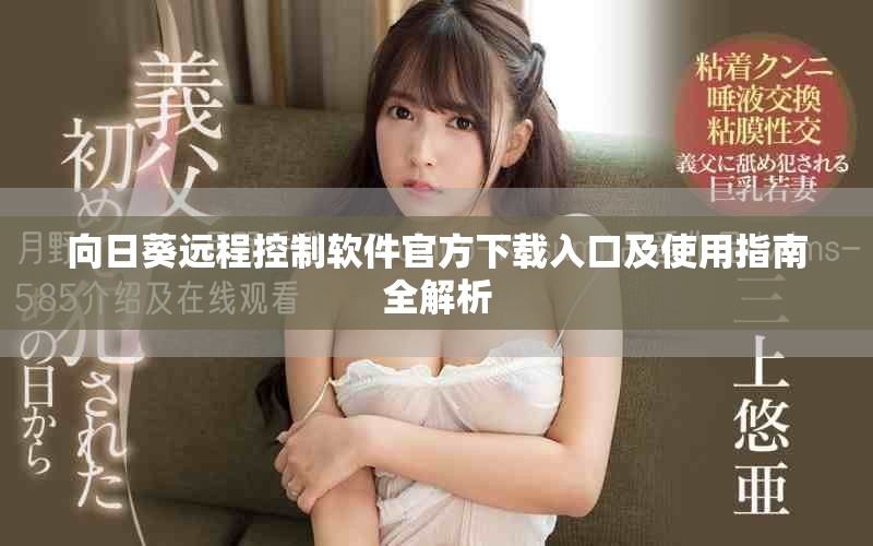 向日葵远程控制软件官方下载入口及使用指南全解析