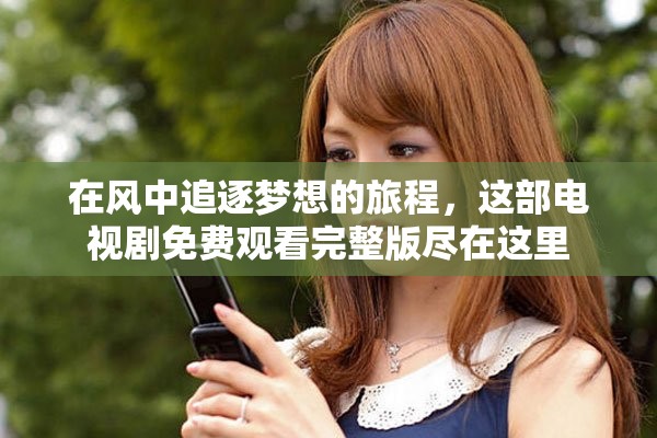 在风中追逐梦想的旅程，这部电视剧免费观看完整版尽在这里