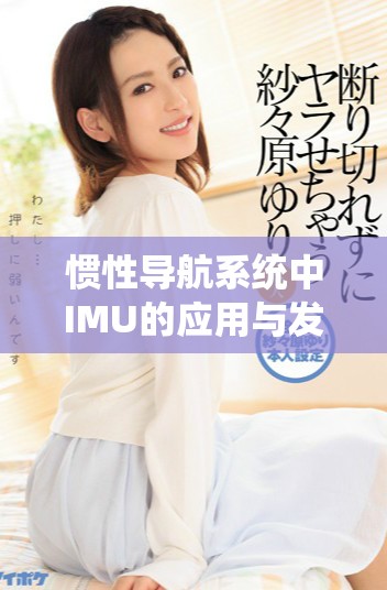 惯性导航系统中IMU的应用与发展趋势分析