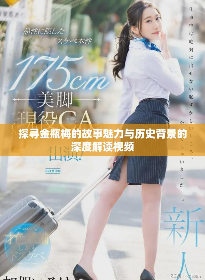 探寻金瓶梅的故事魅力与历史背景的深度解读视频