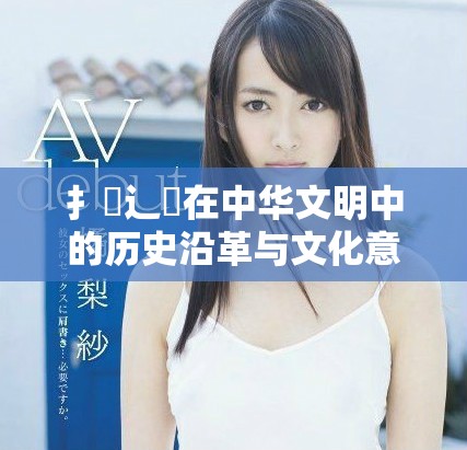 扌喿辶畐在中华文明中的历史沿革与文化意义探讨