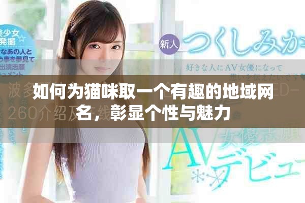 如何为猫咪取一个有趣的地域网名，彰显个性与魅力