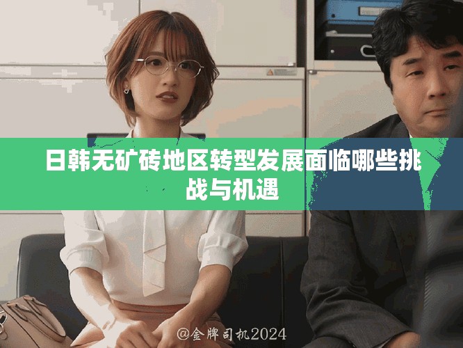 日韩无矿砖地区转型发展面临哪些挑战与机遇