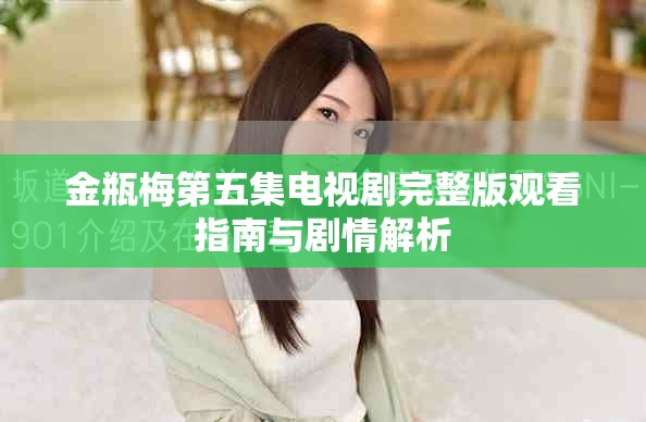 金瓶梅第五集电视剧完整版观看指南与剧情解析