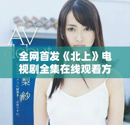 全网首发《北上》电视剧全集在线观看方式与资源分享