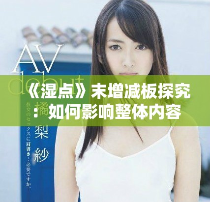 《湿点》末增减板探究：如何影响整体内容的呈现与理解