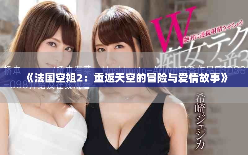 《法国空姐2：重返天空的冒险与爱情故事》