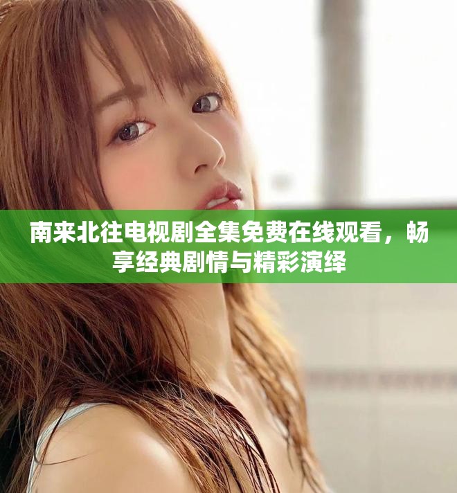 南来北往电视剧全集免费在线观看，畅享经典剧情与精彩演绎
