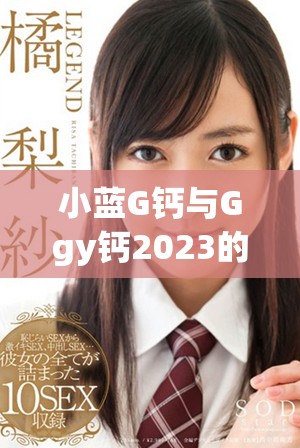 小蓝G钙与Ggy钙2023的综合比较分析与应用前景