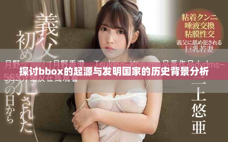 探讨bbox的起源与发明国家的历史背景分析