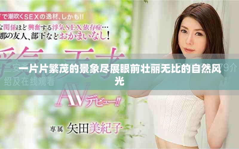 一片片繁茂的景象尽展眼前壮丽无比的自然风光