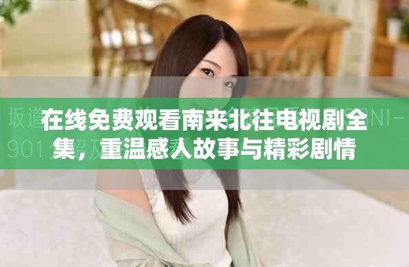 在线免费观看南来北往电视剧全集，重温感人故事与精彩剧情