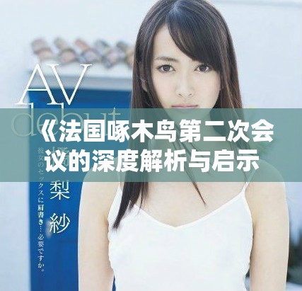 《法国啄木鸟第二次会议的深度解析与启示》