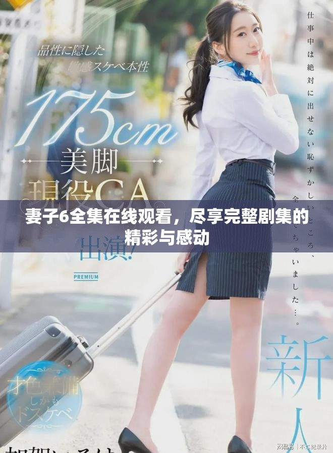 妻子6全集在线观看，尽享完整剧集的精彩与感动