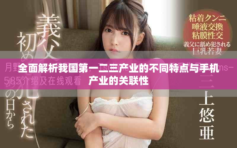全面解析我国第一二三产业的不同特点与手机产业的关联性