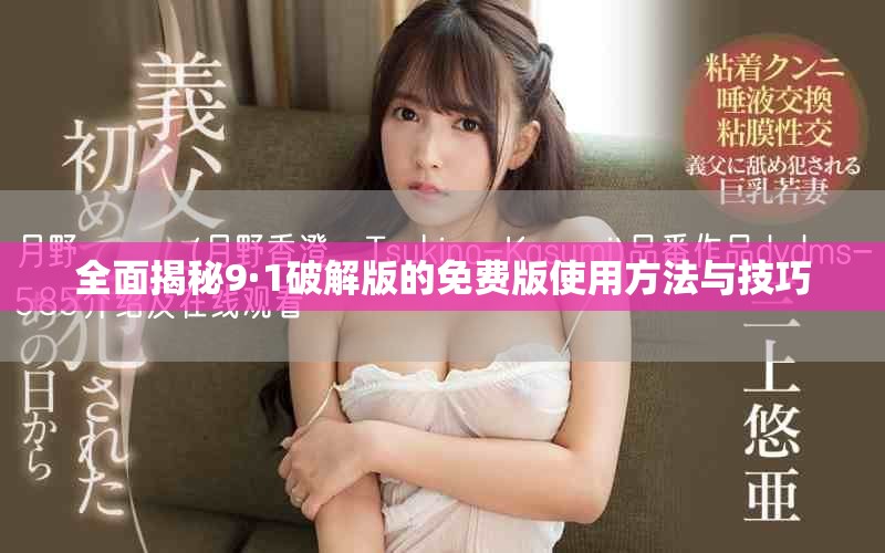 全面揭秘9·1破解版的免费版使用方法与技巧