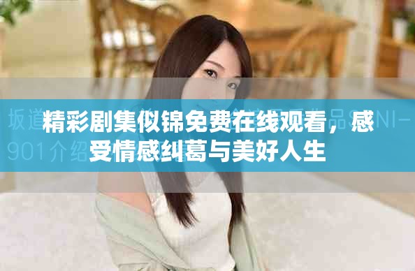 精彩剧集似锦免费在线观看，感受情感纠葛与美好人生