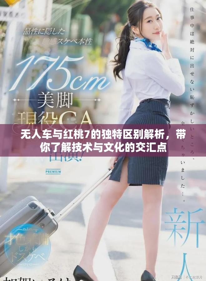 无人车与红桃7的独特区别解析，带你了解技术与文化的交汇点