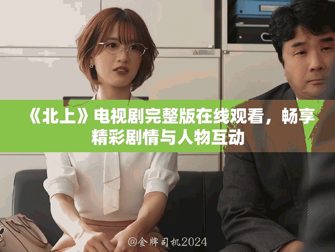 《北上》电视剧完整版在线观看，畅享精彩剧情与人物互动