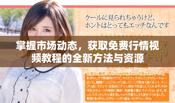 掌握市场动态，获取免费行情视频教程的全新方法与资源