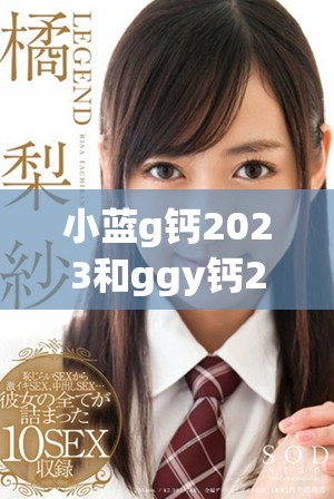 小蓝g钙2023和ggy钙2023的强大功能与应用探讨