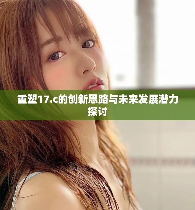 重塑17.c的创新思路与未来发展潜力探讨