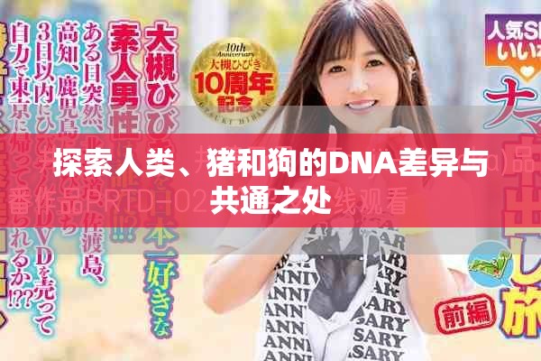 探索人类、猪和狗的DNA差异与共通之处
