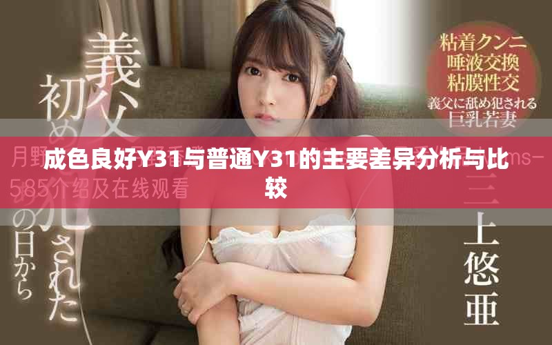 成色良好Y31与普通Y31的主要差异分析与比较