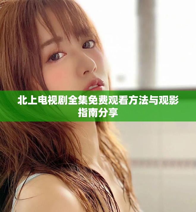 北上电视剧全集免费观看方法与观影指南分享