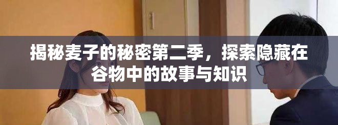 揭秘麦子的秘密第二季，探索隐藏在谷物中的故事与知识