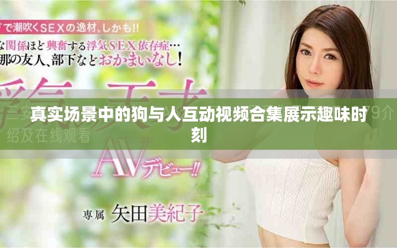 真实场景中的狗与人互动视频合集展示趣味时刻