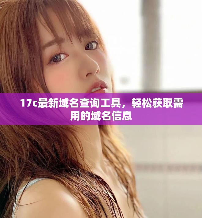 17c最新域名查询工具，轻松获取需用的域名信息