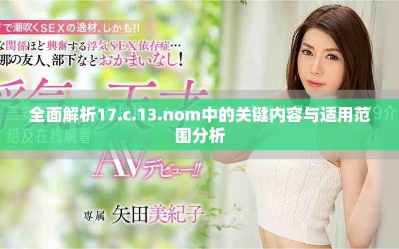全面解析17.c.13.nom中的关键内容与适用范围分析