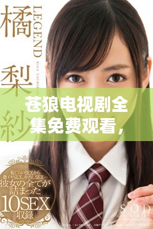 苍狼电视剧全集免费观看，带你领略别样精彩故事