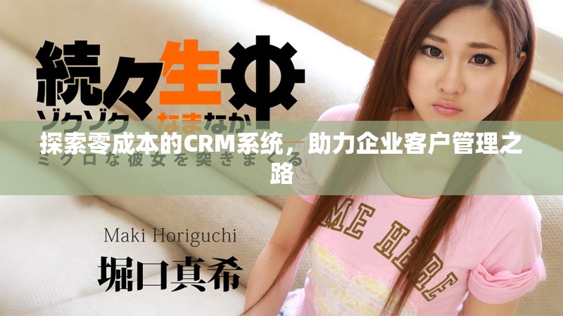 探索零成本的CRM系统，助力企业客户管理之路